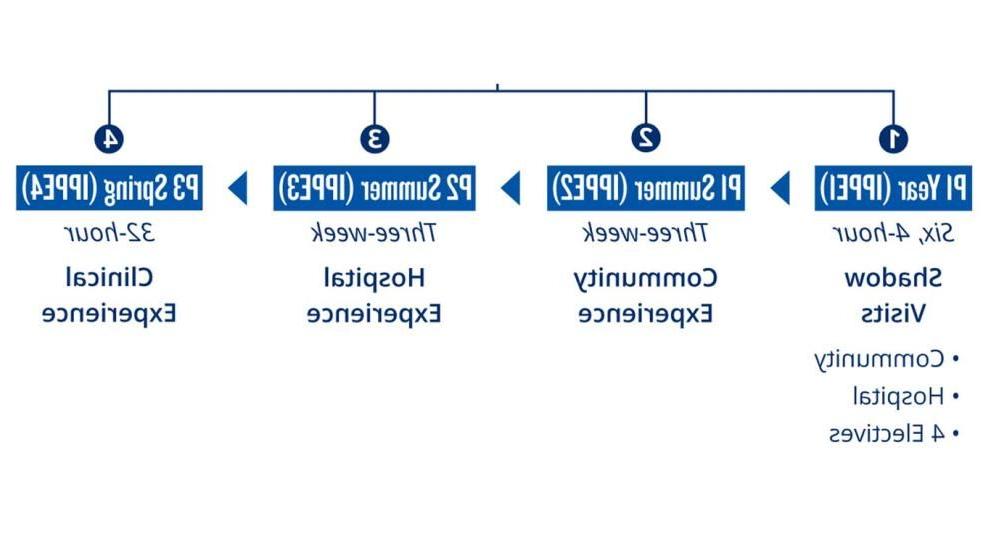 按年划分的药学实践经验介绍